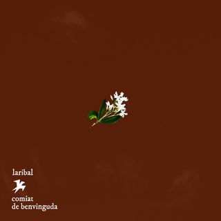 Un ram de gessamí al centre de un